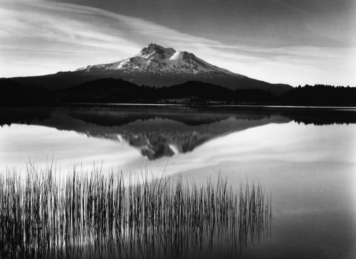 Tule and Mt Shasta - Mount size 86x71 cm