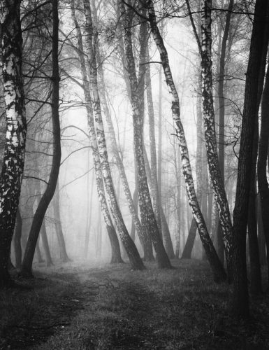 Walking in the Fog - Mount size 86x71 cm