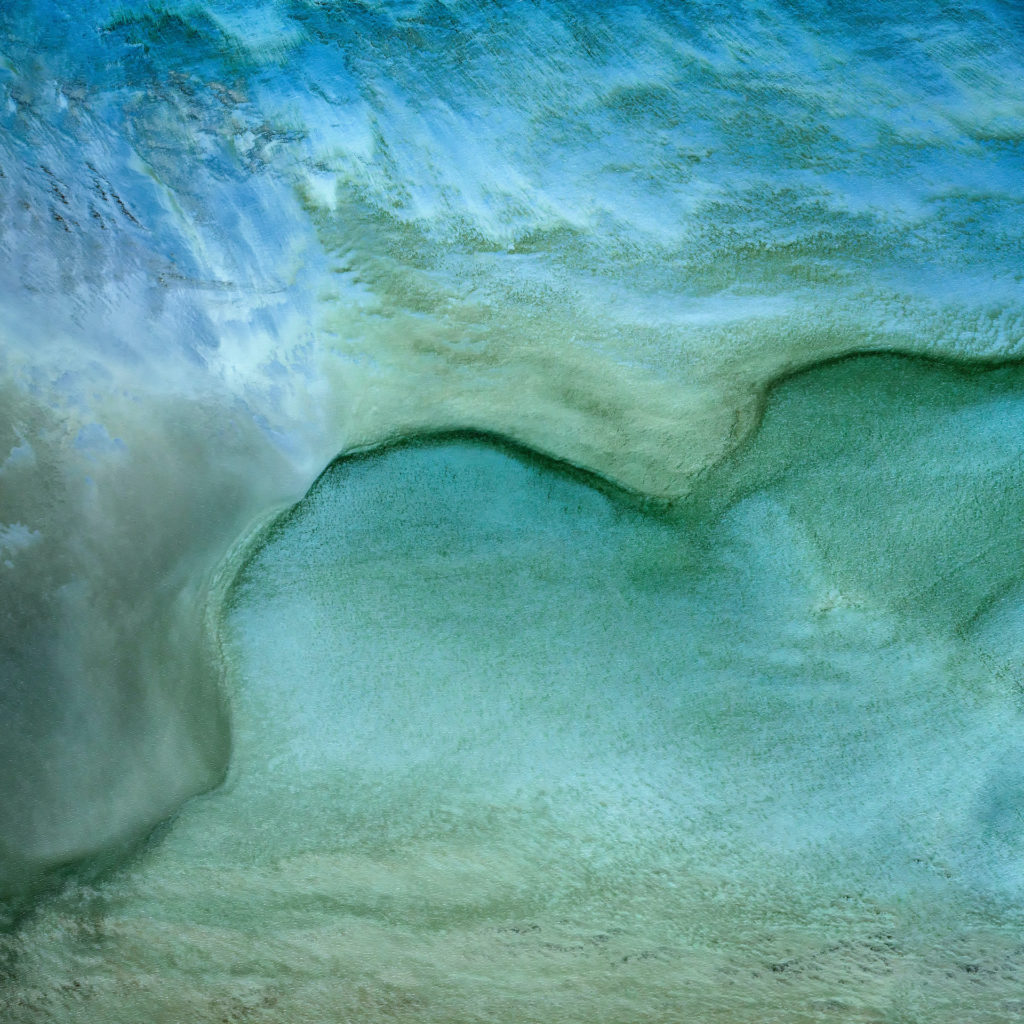 Yi Sun - Shark Bay, Study 1, Western Australia, 2017