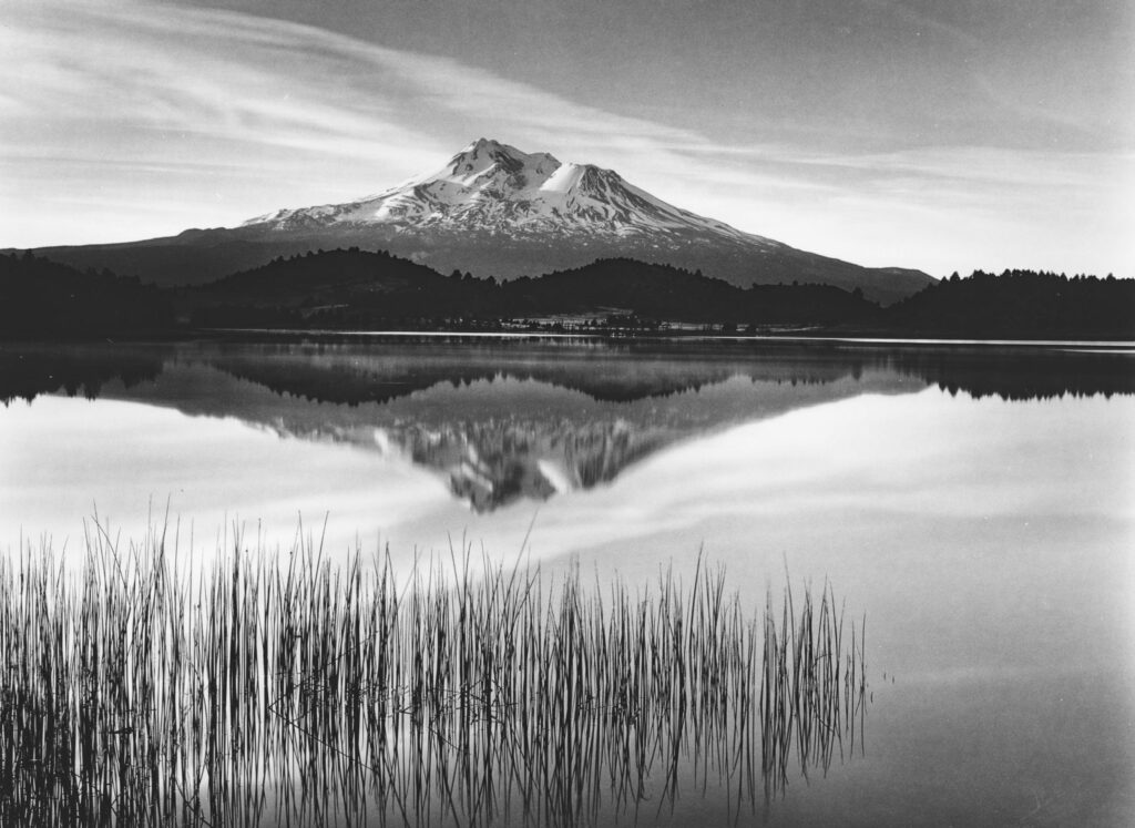 Roman Loranc - Tule and Mt Shasta 1