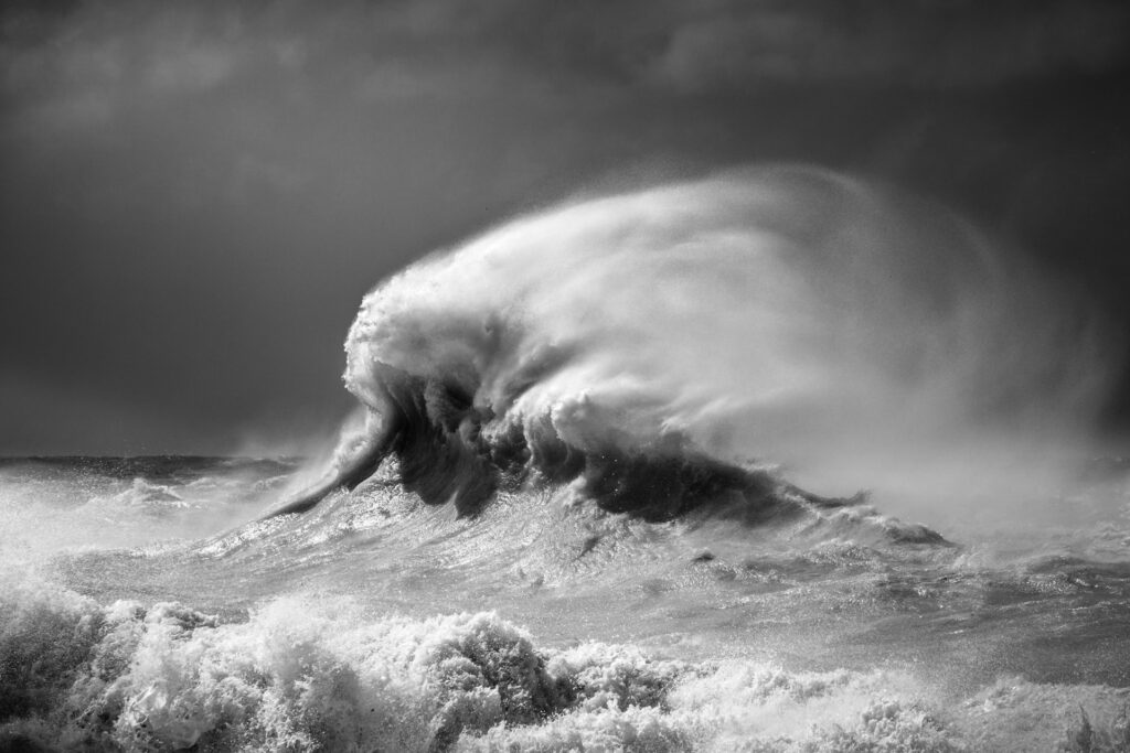 Bild von https://www.taunusfotogalerie.com/galerie-rachael-talibart/